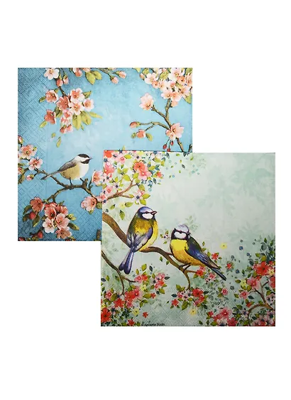 Набор для творчества Салфетки для декупажа Наблюдение за птицами - 2 шт. - фото 1
