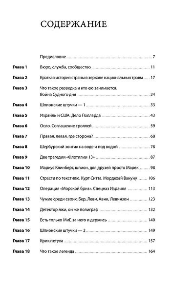 За щитом Давида : Размышления израильского офицера о разведке, армии, людях и о стране - фото 3