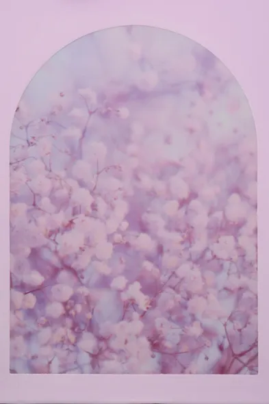 Пакет А5 23*18*10 "Цветущий сад" жен., бум.мат.ламинат - фото 4