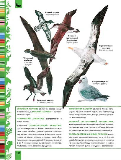 Животные. Большая энциклопедия - фото 6