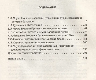 Пугачевщина. За волю и справедливость! - фото 3