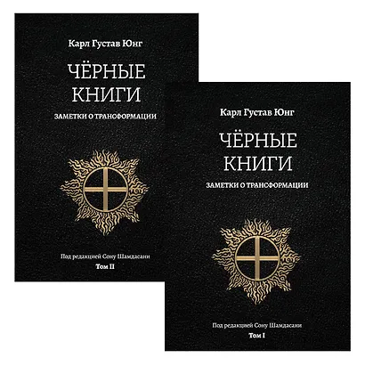 Черные книги. Заметки о трансформации. 2 части - фото 1