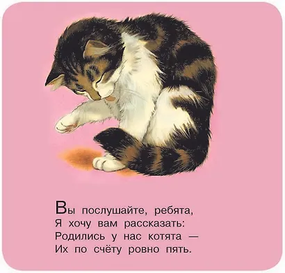 Котята - фото 6