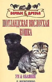 Шотландская вислоухая кошка. Ум и обаяние - фото 2
