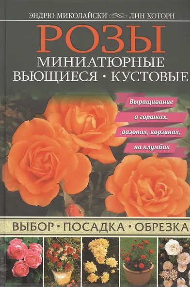 Розы. Миниатюрные. Вьющиеся. Кустовые - фото 1