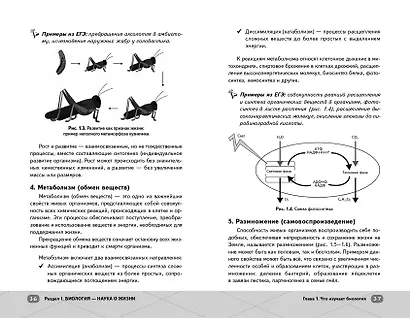 ЕГЭ. Биология - фото 10