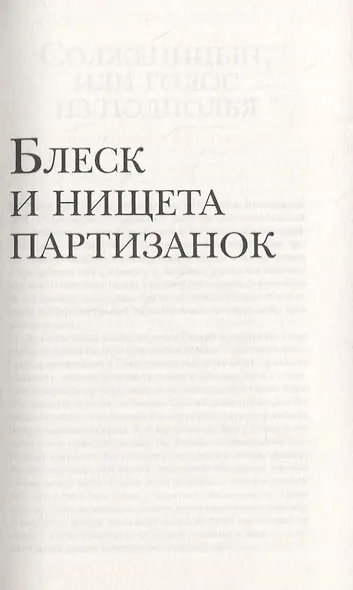 Блеск и нищета партизанок. Избранные рассказы - фото 4