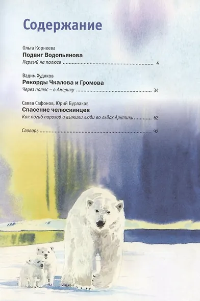 Отважные летчики - покорители Арктики: Подвиг Водопьянова. Рекорды Чкалова и Громова. Спасение челюскинцев - фото 3