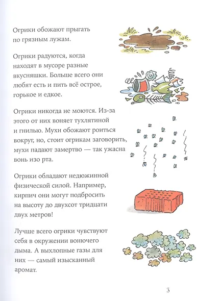 Огрики: Куда хотим, туда летим! - фото 3