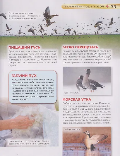 Красная книга России. Детская энциклопедия - фото 5