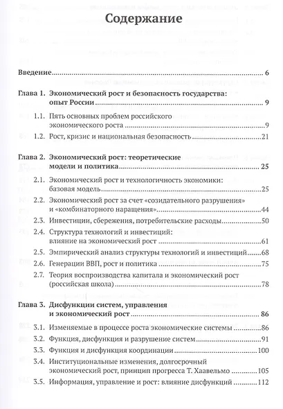 Экономический рост России: Новая модель управления - фото 2