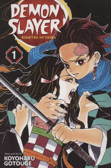 Demon Slayer: Kimetsu no Yaiba, Vol. 1 - фото 1