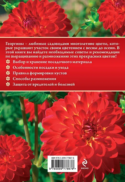 Георгины  для цветника и букета - фото 2