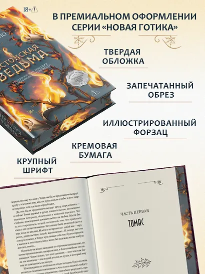Бостонская ведьма - фото 6
