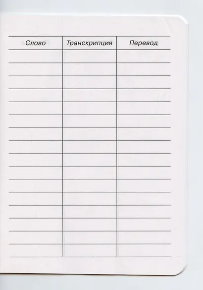 Тетрадь для записи английских слов Айрис, "Полёт над лесом", А5, 24 листа - фото 3