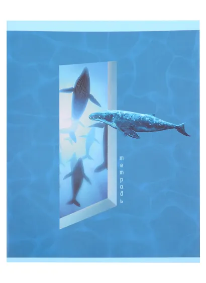 Тетрадь в клетку Listoff, "По ту сторону", 48 листов, в ассортименте - фото 5