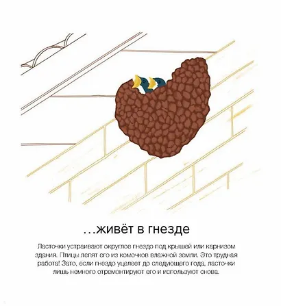 Где они живут? - фото 6