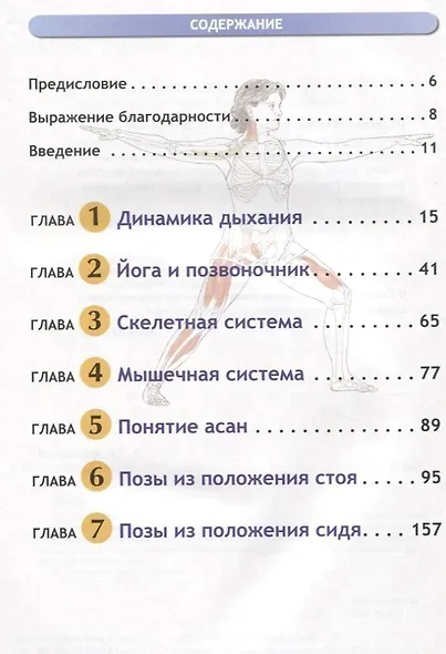 Анатомия йоги - фото 2