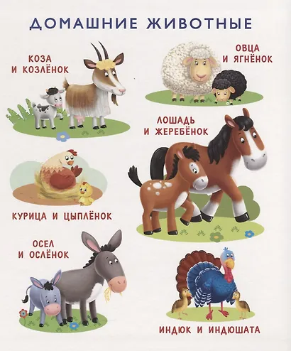 Моя первая книга о природе - фото 2