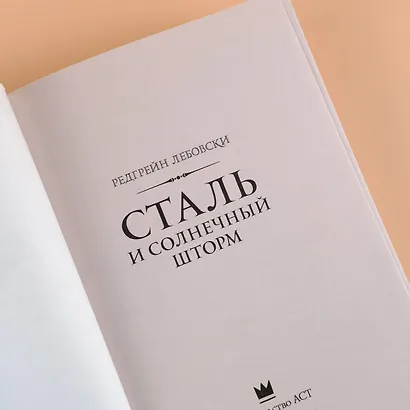 Сталь и солнечный шторм - фото 7