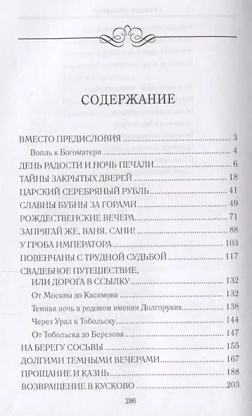 Графиня-монахиня - фото 2