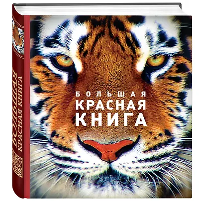 Большая красная книга (стерео-варио) - фото 3