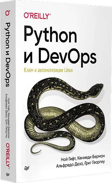 Python и DevOps: Ключ к автоматизации Linux - фото 2