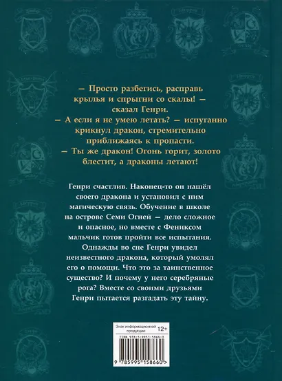 Секретная школа драконов. Книга 2. Дракон с серебряными рогами - фото 2