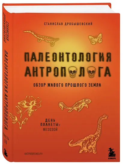 Палеонтология антрополога. Книга 2. Мезозой - фото 3