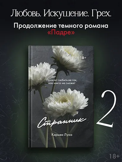 Странник - фото 3