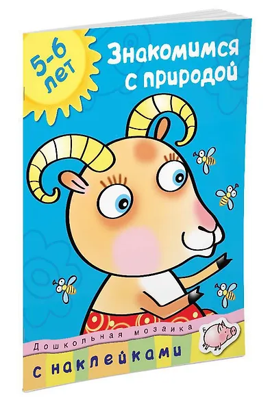 Знакомимся с природой (5-6 лет) - фото 2