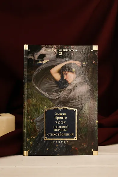 Грозовой перевал. Стихотворения - фото 11