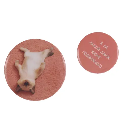 Набор значков "Я за любой движ, кроме подвижного", коллекция "Забавные питомцы", 2 шт. - фото 5