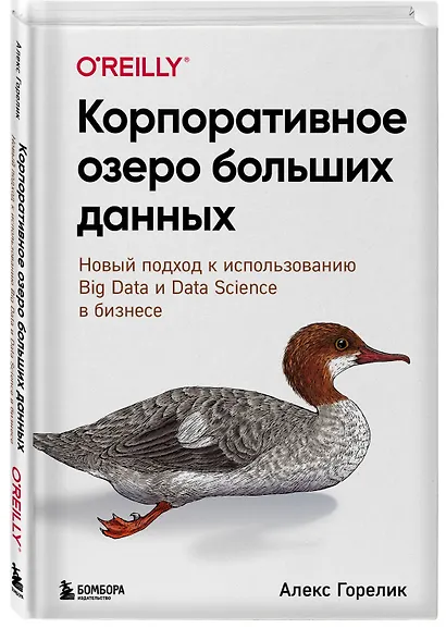 Корпоративное озеро больших данных. Новый подход к использованию Big Data и Data Science в бизнесе - фото 3
