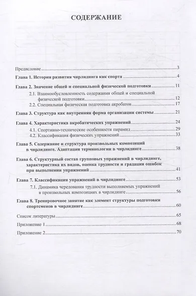 Чирлидинг как спорт - фото 2