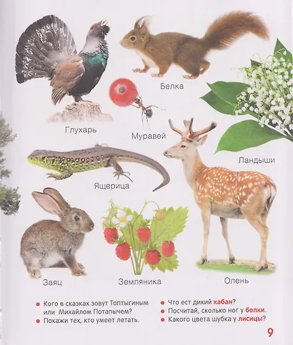 Первая книга малыша. Энциклопедия. 1000 картинок - фото 3