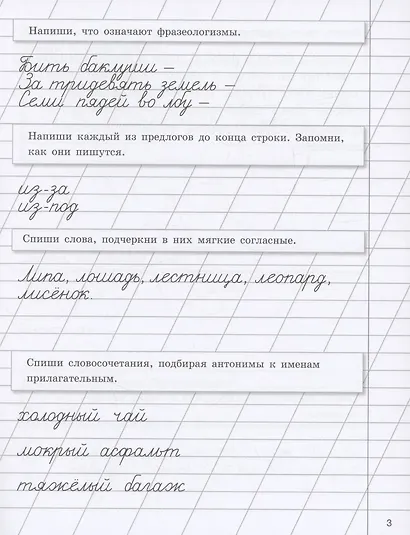 Прописи на каникулы с заданиями по орфографии. 3 класс - фото 4