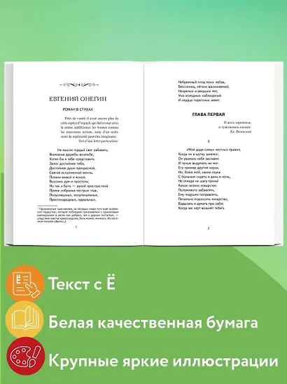 Евгений Онегин (ил. Е. Самокиш-Судковской) - фото 5