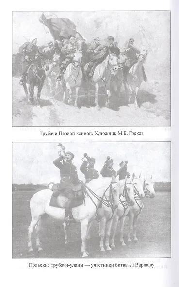 1920. Война с белополяками. Поход Красной армии на Вислу - фото 6