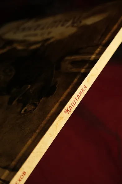 Каштанка - фото 13