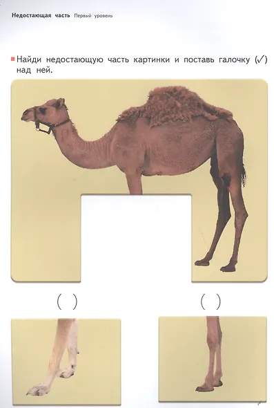 Развитие мышления. Пространственное мышление (от 5 лет) - фото 6