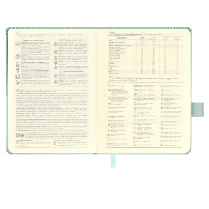 Ежедневник недат. А6+ 120л 126х174 "Гоутскин" мятный, иск.кожа, тв.переплёт, блинт.тиснение, магнит.клапан офсет, ляссе - фото 5