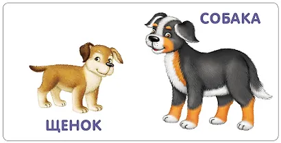 Книжки-картонки. Малыши и мамы - фото 2