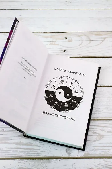 Алая зима - фото 9