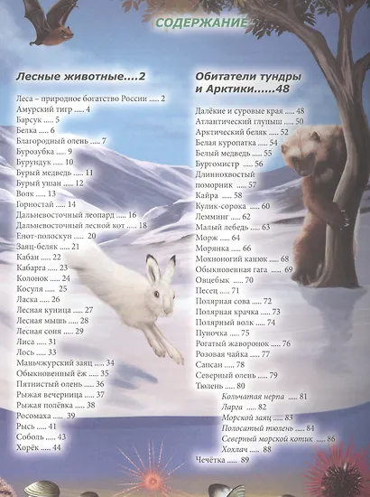 Животные России - фото 2