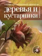 Современное декоративное садоводство Деревья и кустарники  Энциклопедия/ (+CD) - фото 1