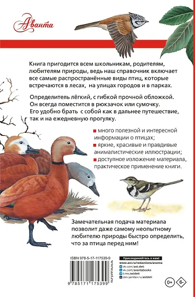 Птицы России - фото 2