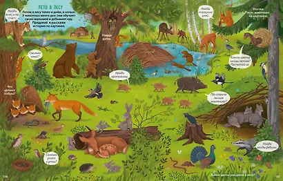 Виммельбух с наклейками. В лесу - фото 3