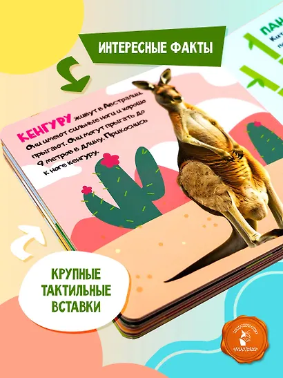 Дикие животные - фото 5