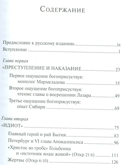 Библейские и святоотеческие источники романов Достоевского (РМ) Сальвестрони - фото 2